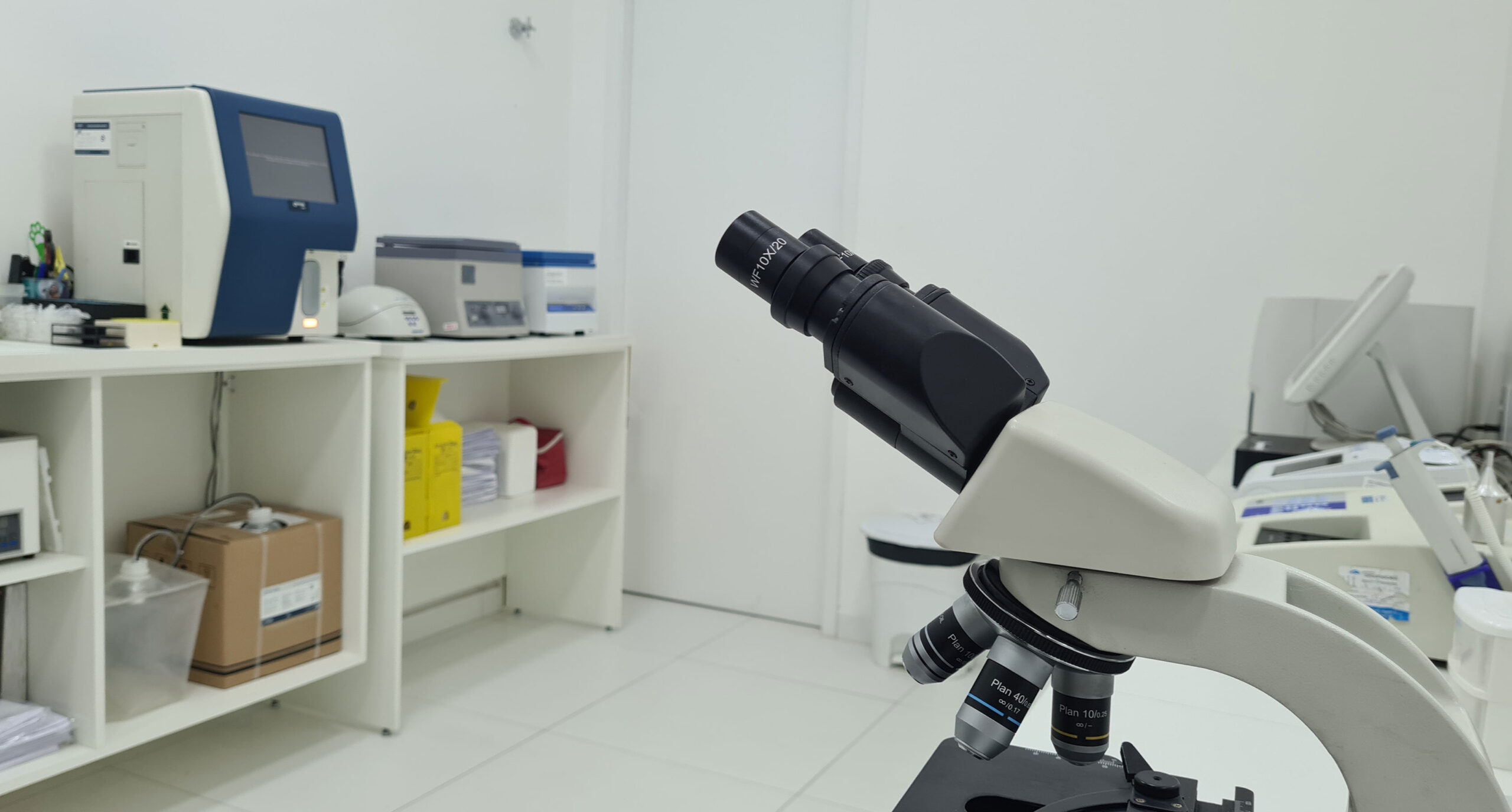 laboratorio2-scaled.jpg
