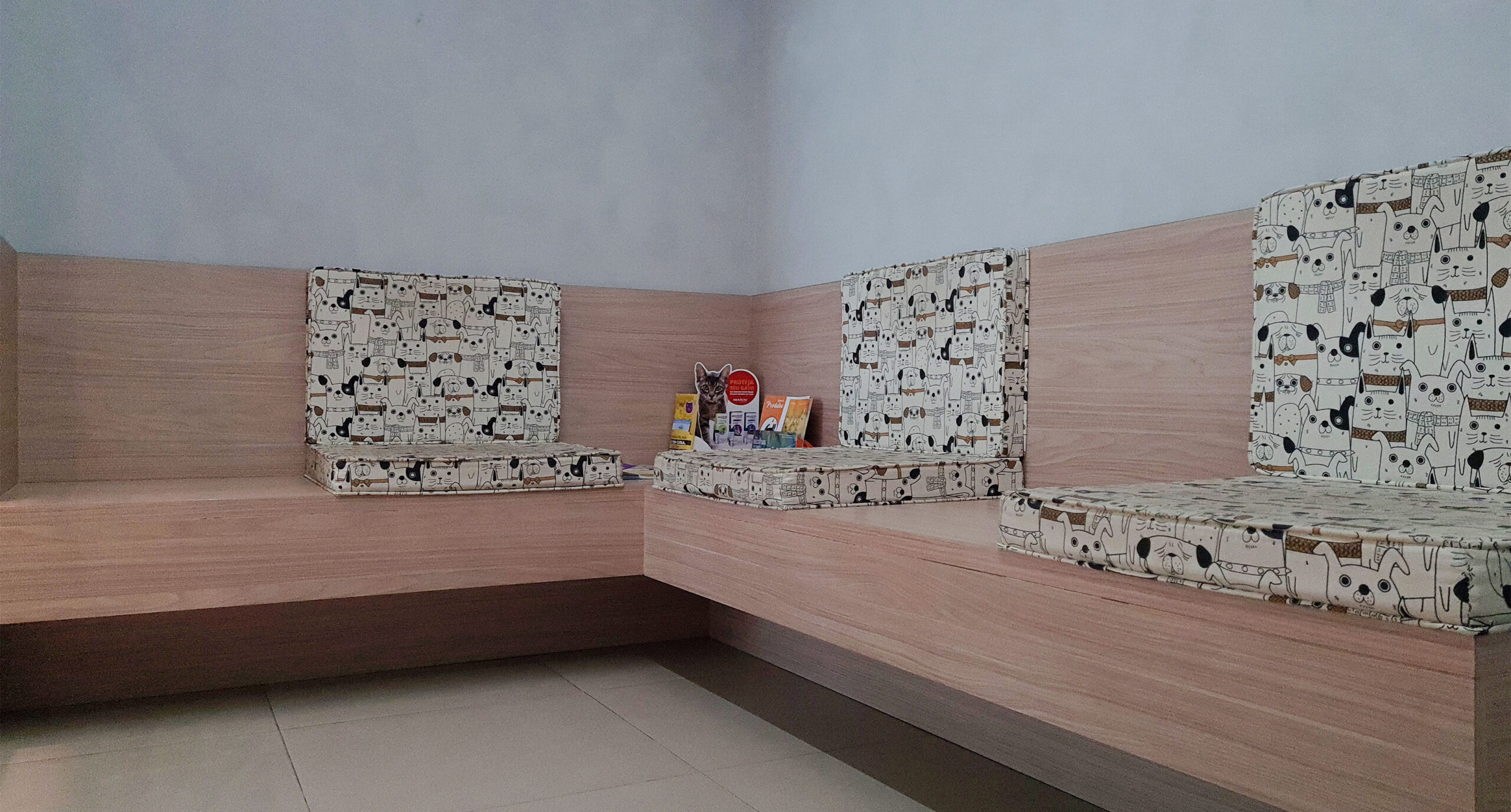 sala-felinos-1-scaled.jpg