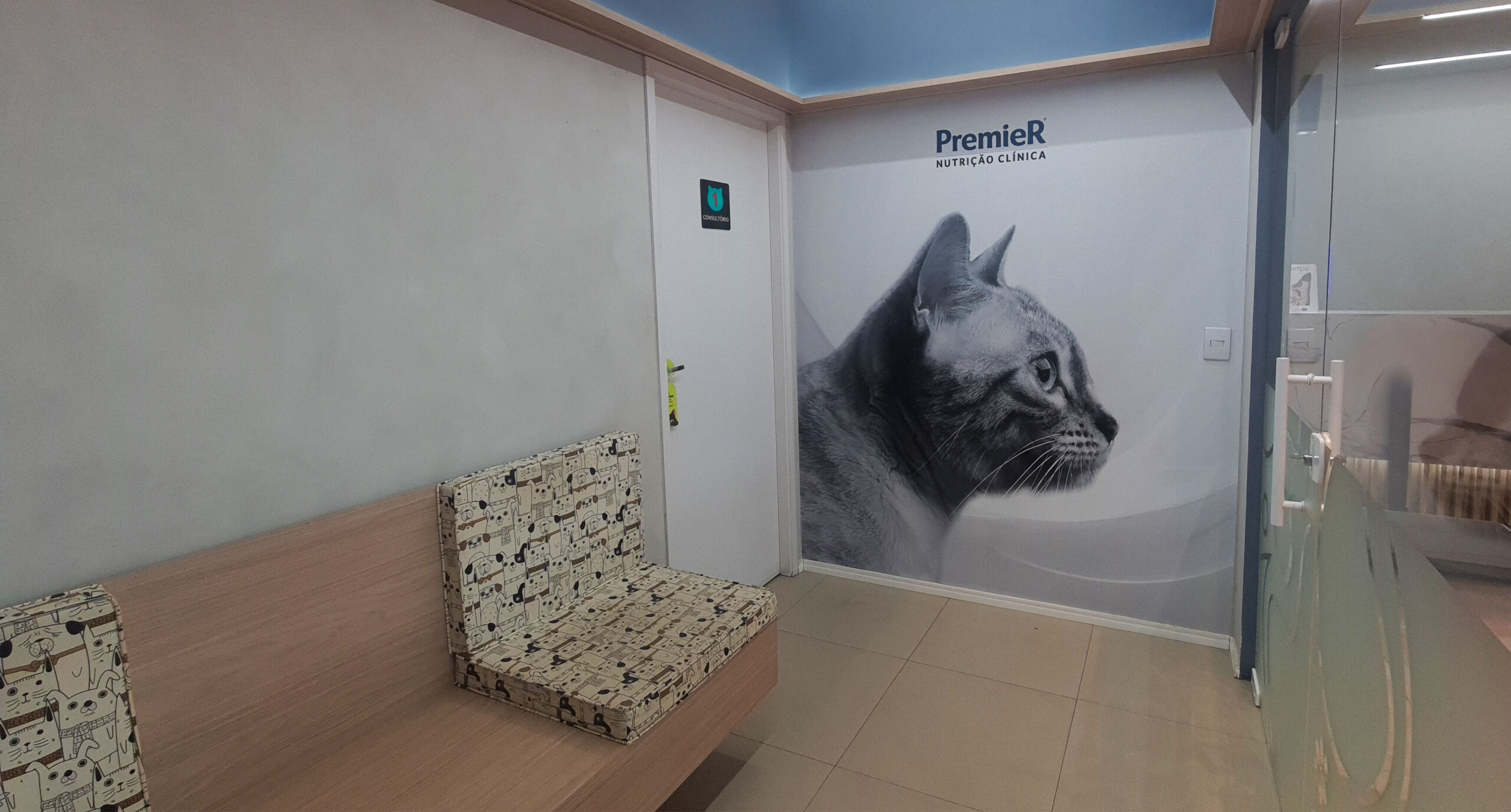 sala-felinos-2-scaled.jpg
